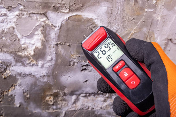 Best Post-Flood Mold Remediation in West Jefferson, OH