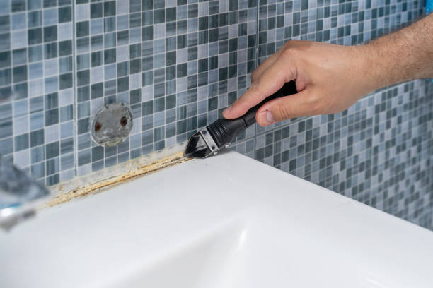 Best Mold Remediation for Schools in West Jefferson, OH